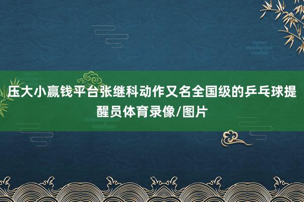 压大小赢钱平台张继科动作又名全国级的乒乓球提醒员体育录像/图片