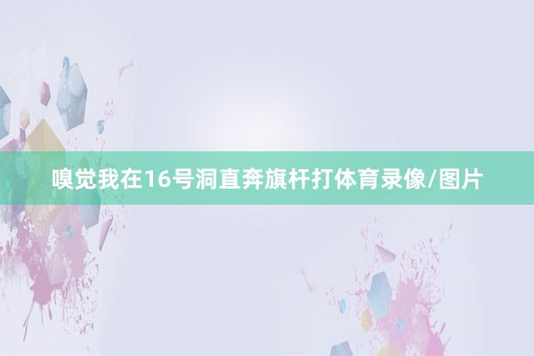 嗅觉我在16号洞直奔旗杆打体育录像/图片