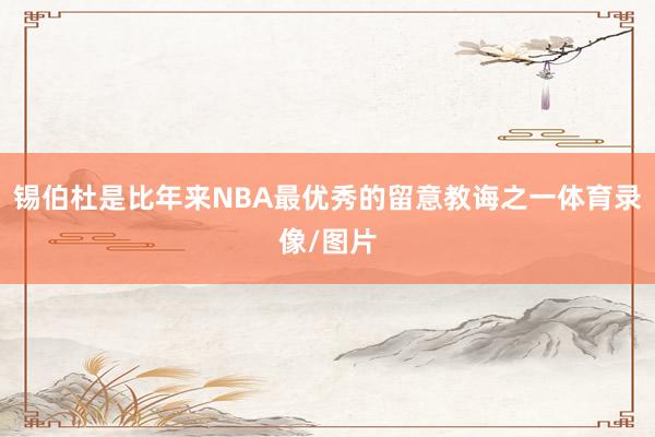 锡伯杜是比年来NBA最优秀的留意教诲之一体育录像/图片