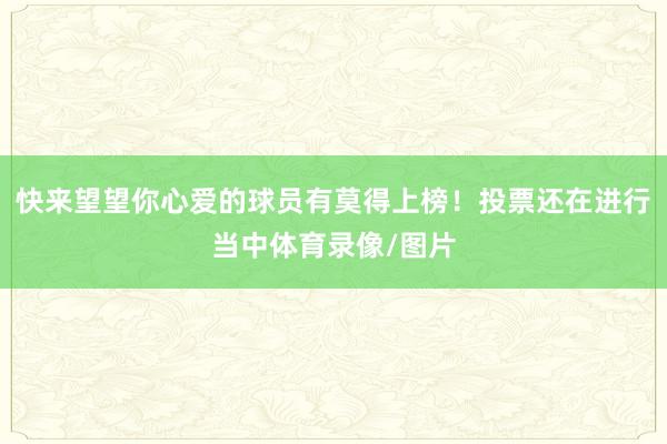 快来望望你心爱的球员有莫得上榜！投票还在进行当中体育录像/图片