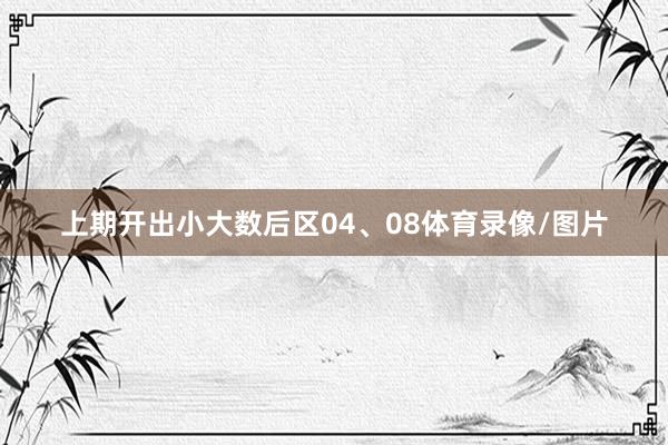 上期开出小大数后区04、08体育录像/图片